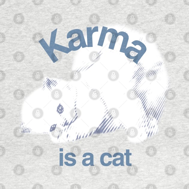 Karma is a cat Taylor Swift by Grade Design